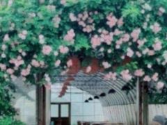 -前小桔亲子创意农场·草莓采摘·露营烧烤