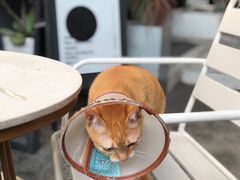-ADO KAFE(大学城店)