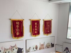 -爱侣宠医·鹦鹉专科·小型哺乳类·异宠专科(灵石路店)