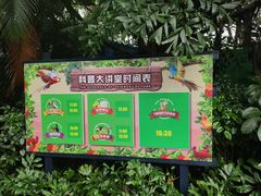 -广州长隆飞鸟乐园