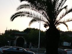 -仙岳公园