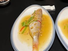 -庄氏祥记深夜厨房·文火煲仔翅