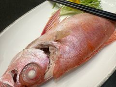 -吴记富苑(朝阳店)