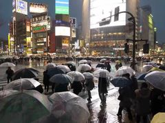 -涩谷全向十字路口