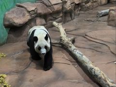 -秦皇岛野生动物园