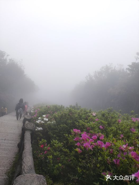 梧桐山风景名胜区图片