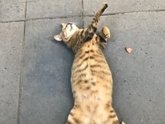 -竹吟山房