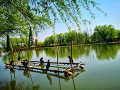 -长兴太湖图影湿地文化园
