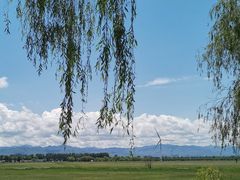 -野鸭湖国家湿地公园