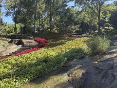 -沂蒙云瀑洞天景区