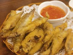 -利杨记·本味轩粥坊·烧烤(宝体店)