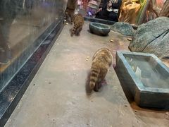 -嘉兴海底世界
