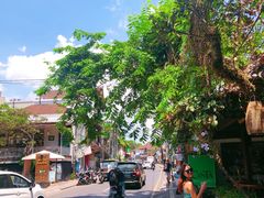 -乌布德传统市场