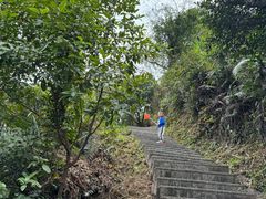 -南海湾森林生态园