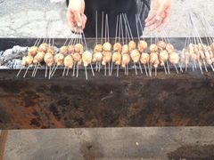 iphone_upload_pic-水子烧烤