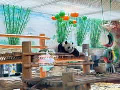 -西霞口神雕山野生动物世界