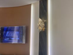 -雅曼妮spa美容养生