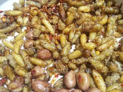 -园林美食城·本土农家菜(杨和镇店)