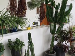 -唐咖精品咖啡(大理古城手冲店)