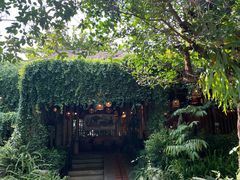 -DOI CHAANG Caffè Maesuai