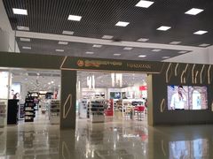 -谢列梅捷沃国际机场