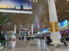 -厦门高崎国际机场-T4航站楼