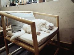 -南枝小馆(银鱼巷店)
