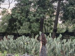-Club Med地中海俱乐部·桂林度假村