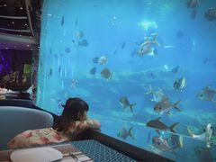 -瑞德姆美人鱼海底演艺主题餐厅(亚龙湾店)