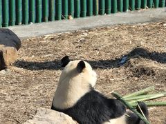 -沈阳森林动物园