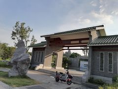 -王借岗森林公园