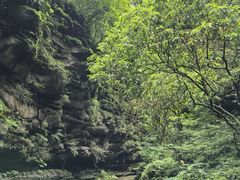 -碧峰峡风景区