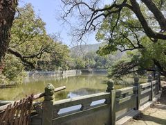 -阿育王寺
