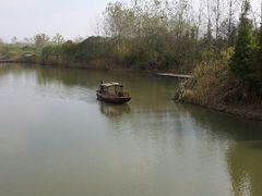 湿地公园-溱湖国家湿地公园