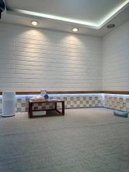 -颜动养生馆·智能艾灸·专业推拿·盐蒸