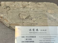 -延庆地质公园博物馆