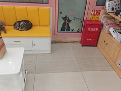 -全心全意连锁动物医院·微创中心·内科急重症·心脏专科(丰管路店)
