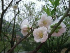 -南国桃园旅游度假区