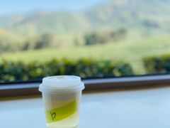 -白茶原·一片叶子