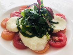 -蝶舍·MAISON PAPILLON