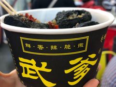 -武爹臭豆腐(坡子街店)