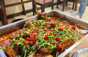 Zhi Cheng Bandit Fish