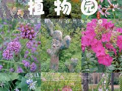 -黑龙江省森林植物园