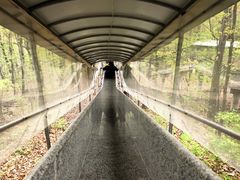 -香炉山国家森林公园