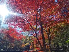 -本溪老边沟风景区