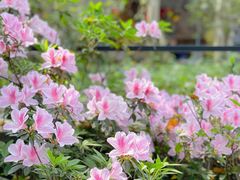 -广州市白云山风景名胜区