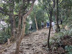 -梧桐山风景名胜区