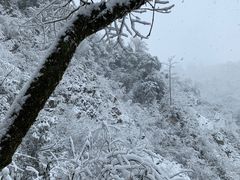 -九峰山