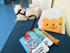 -佳怡动物医院·平价24小时·猫专科骨外科