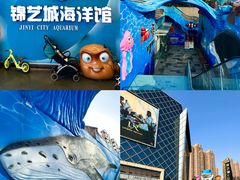 -锦艺城海洋馆